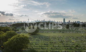 Calvary Cemetery in Queens with Manhattan skyline in background - tombstones in NYC