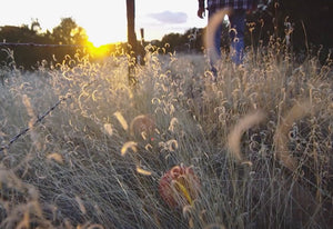 Still from Coachella 2015 film
