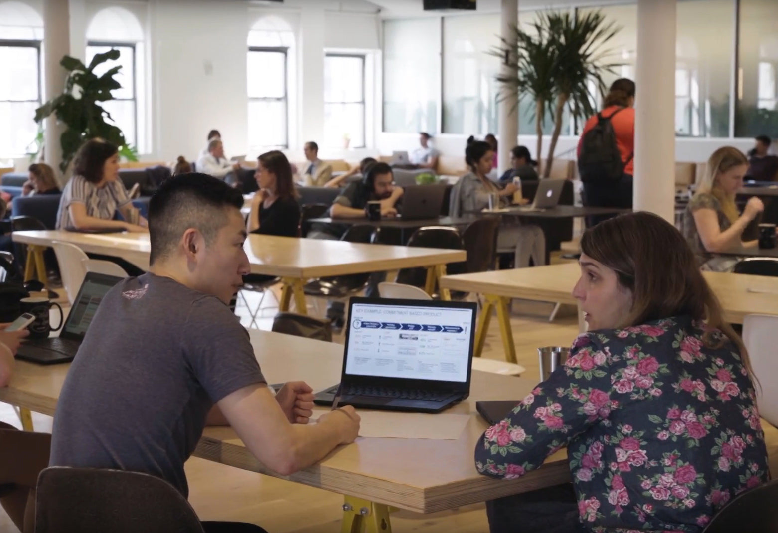 How WeWork Uses Troops.ai