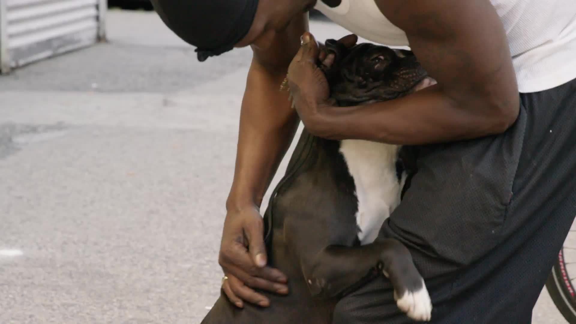 man hugging and petting dog in summer in slow motion