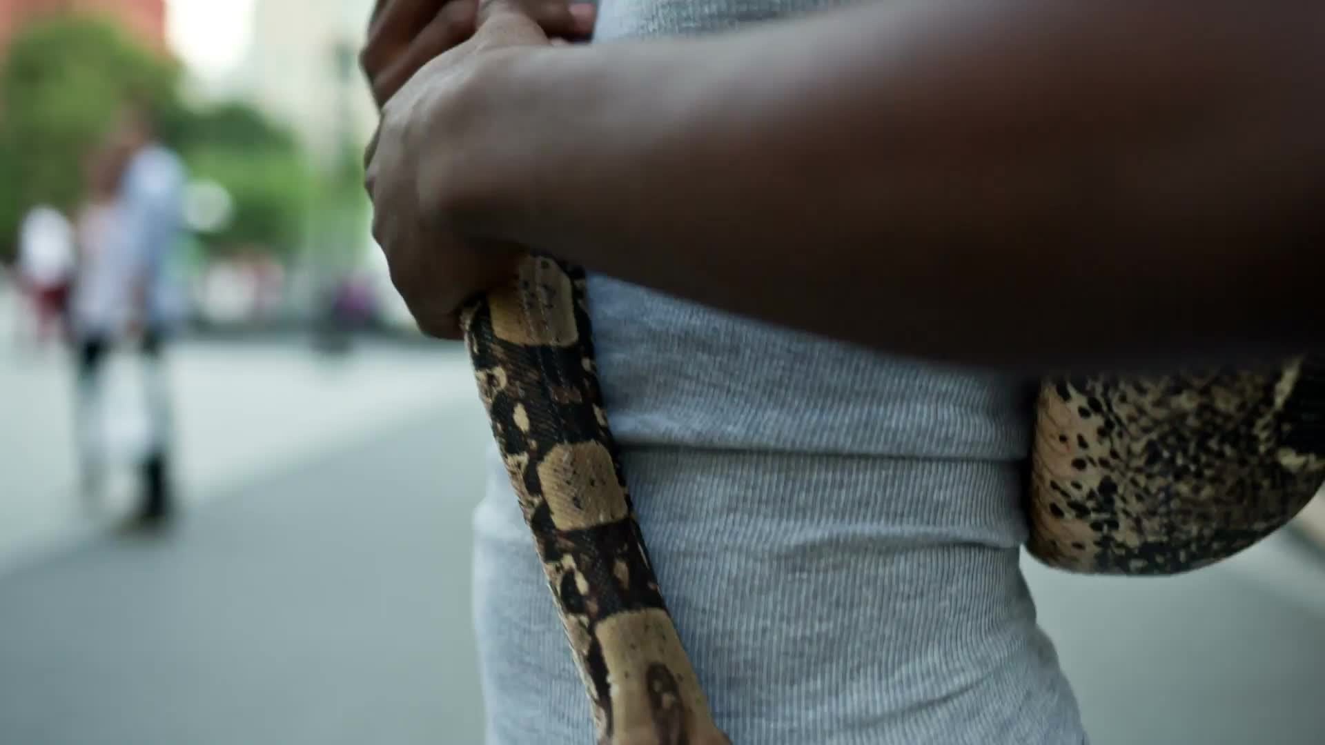 handsome young African American man showing off pet snake in Washington Square Park on summer day